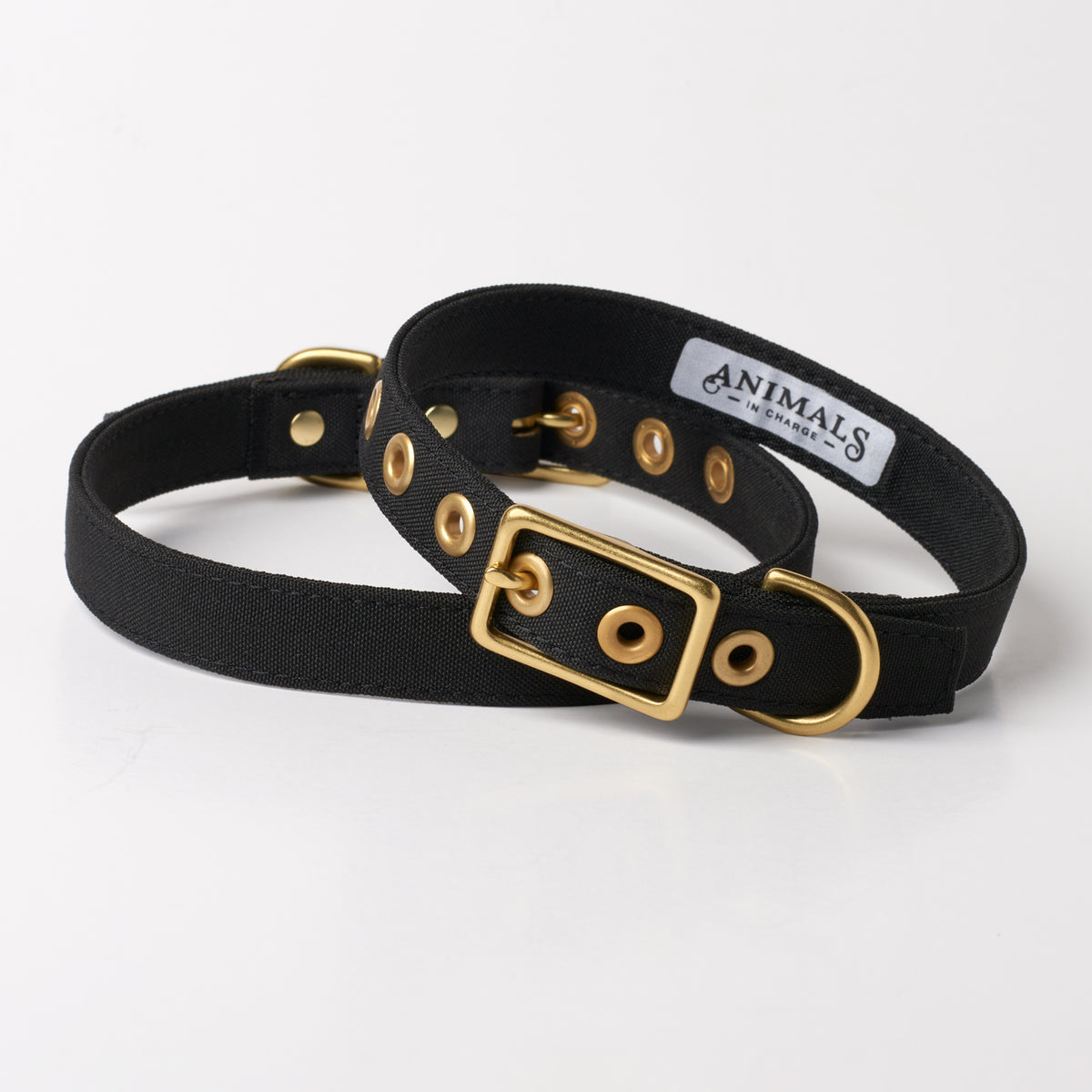 Black Recycled Canvas Dog Collar All Weather Animals in Charge