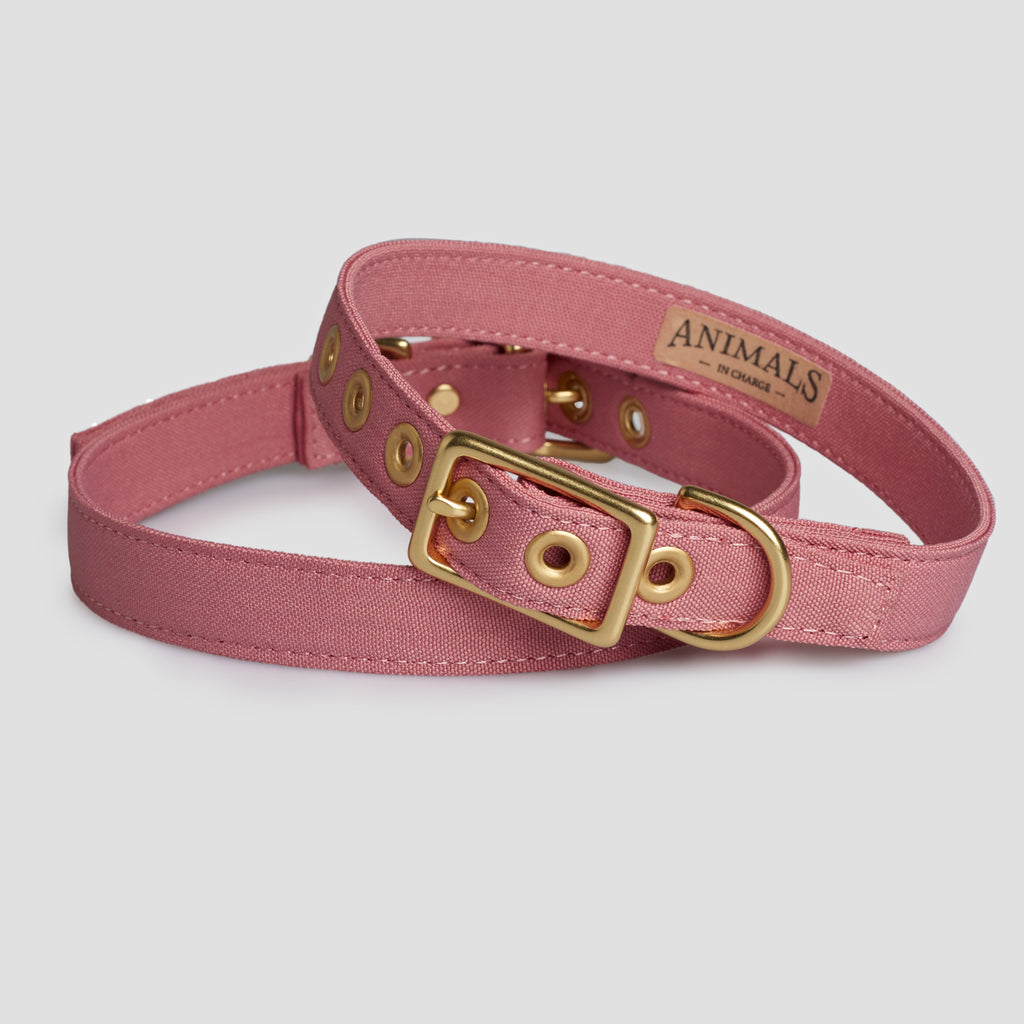 Dusty Pink Recycled Canvas Dog Collar