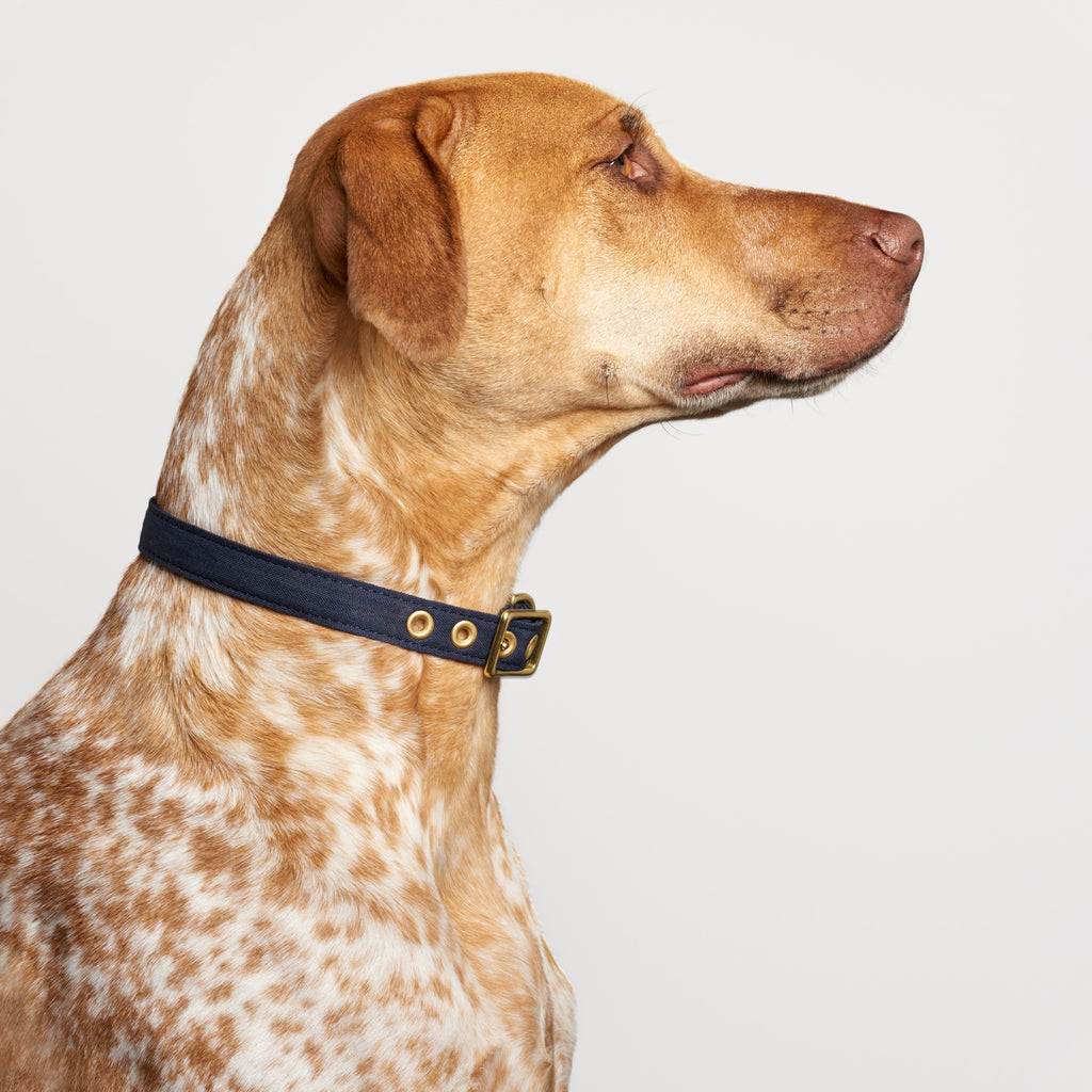 Navy Recycled Canvas Dog Collar