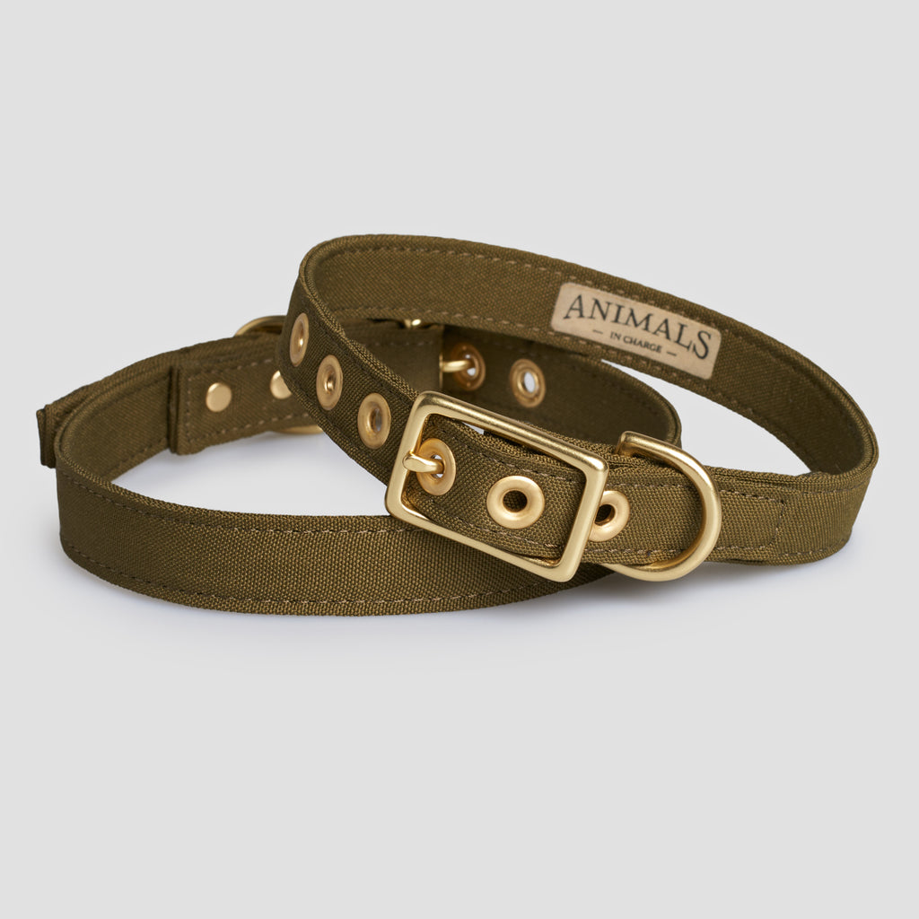 Olive Recycled Canvas Dog Collar