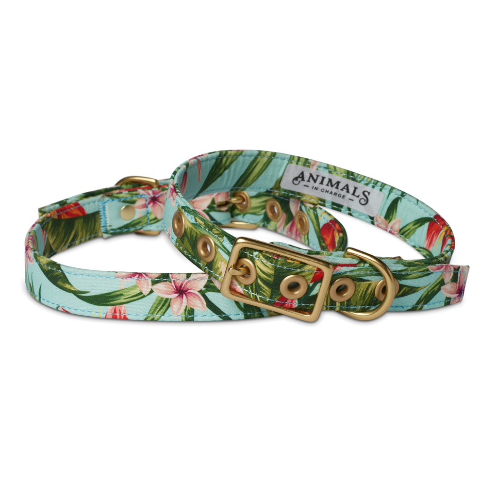 Coastal Flower Designer Dog Collar