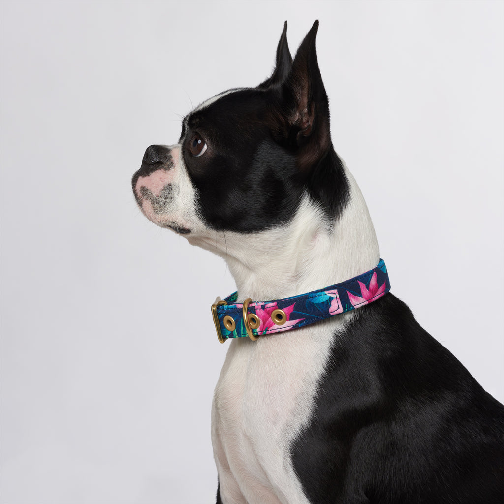 Tropical Flower Designer Dog Collar