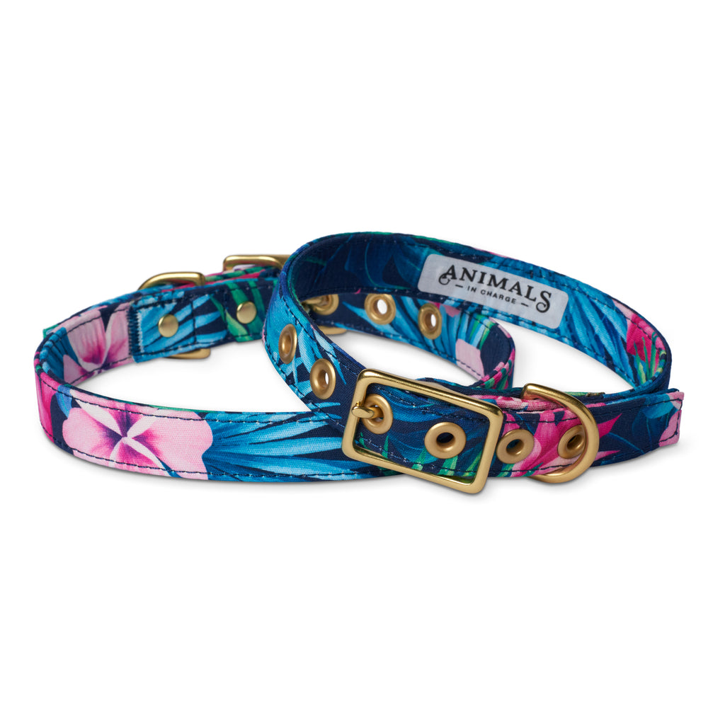 Tropical Flower Designer Dog Collar