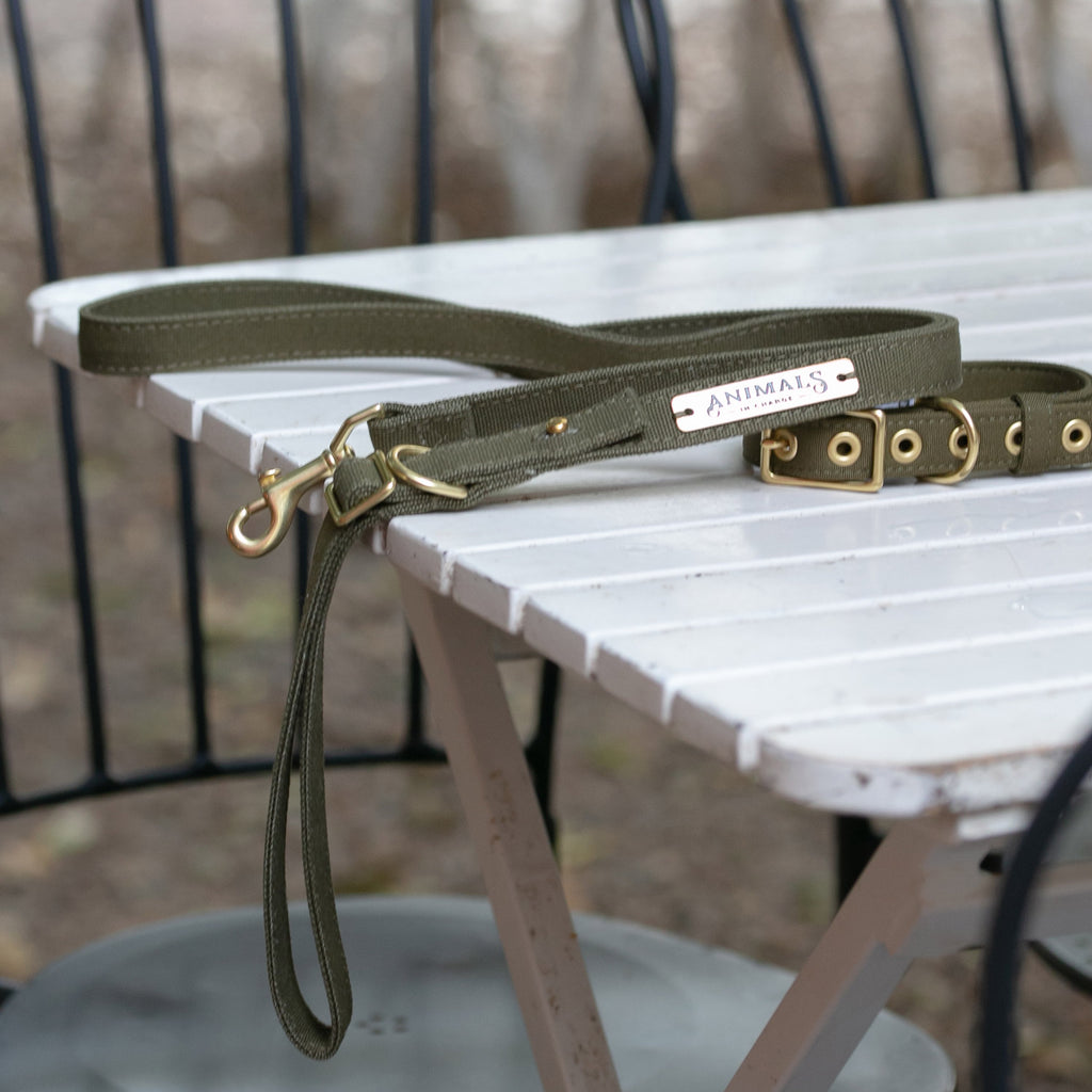 Olive Organic Canvas Dog Leash