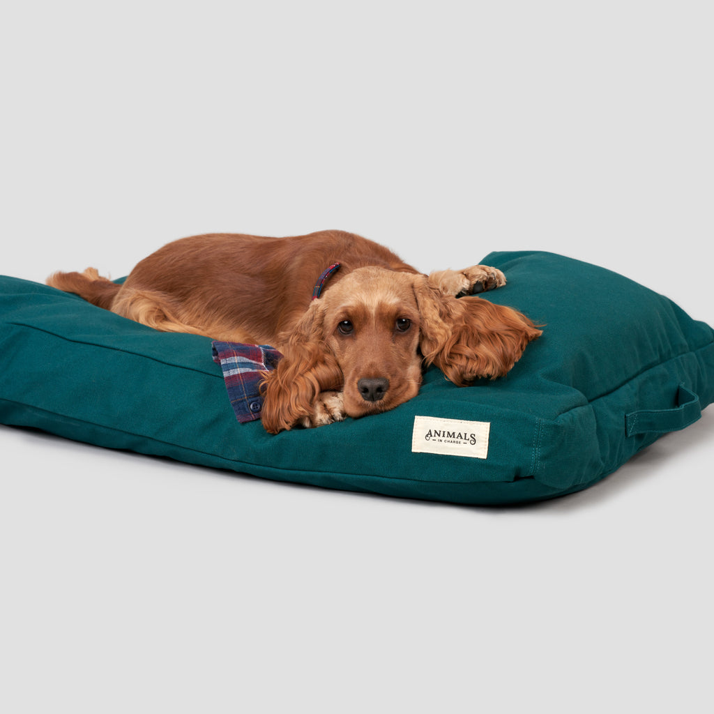 Forest Green Organic Canvas Dog Bed