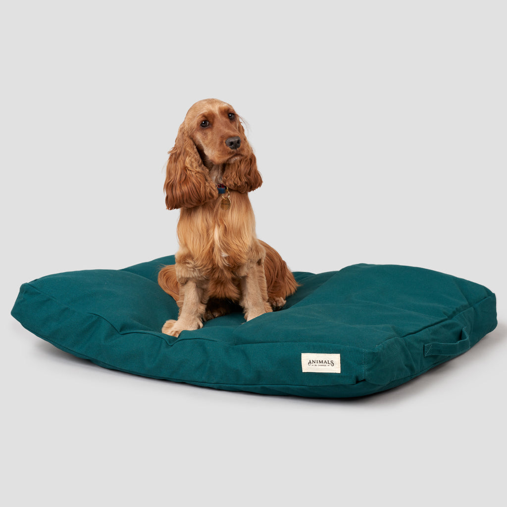 Forest Green Organic Canvas Dog Bed