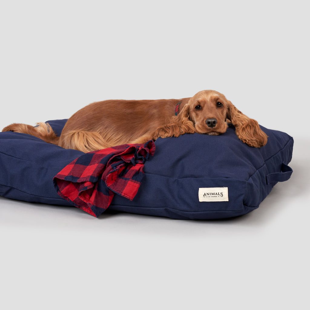 Navy Organic Canvas Dog Bed