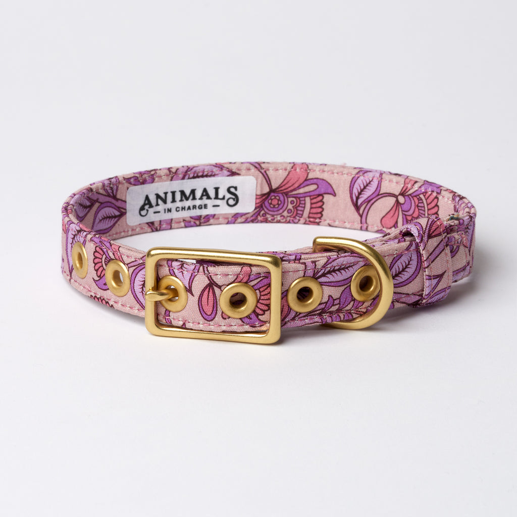 Bohemian Sunrise Designer Dog Collar