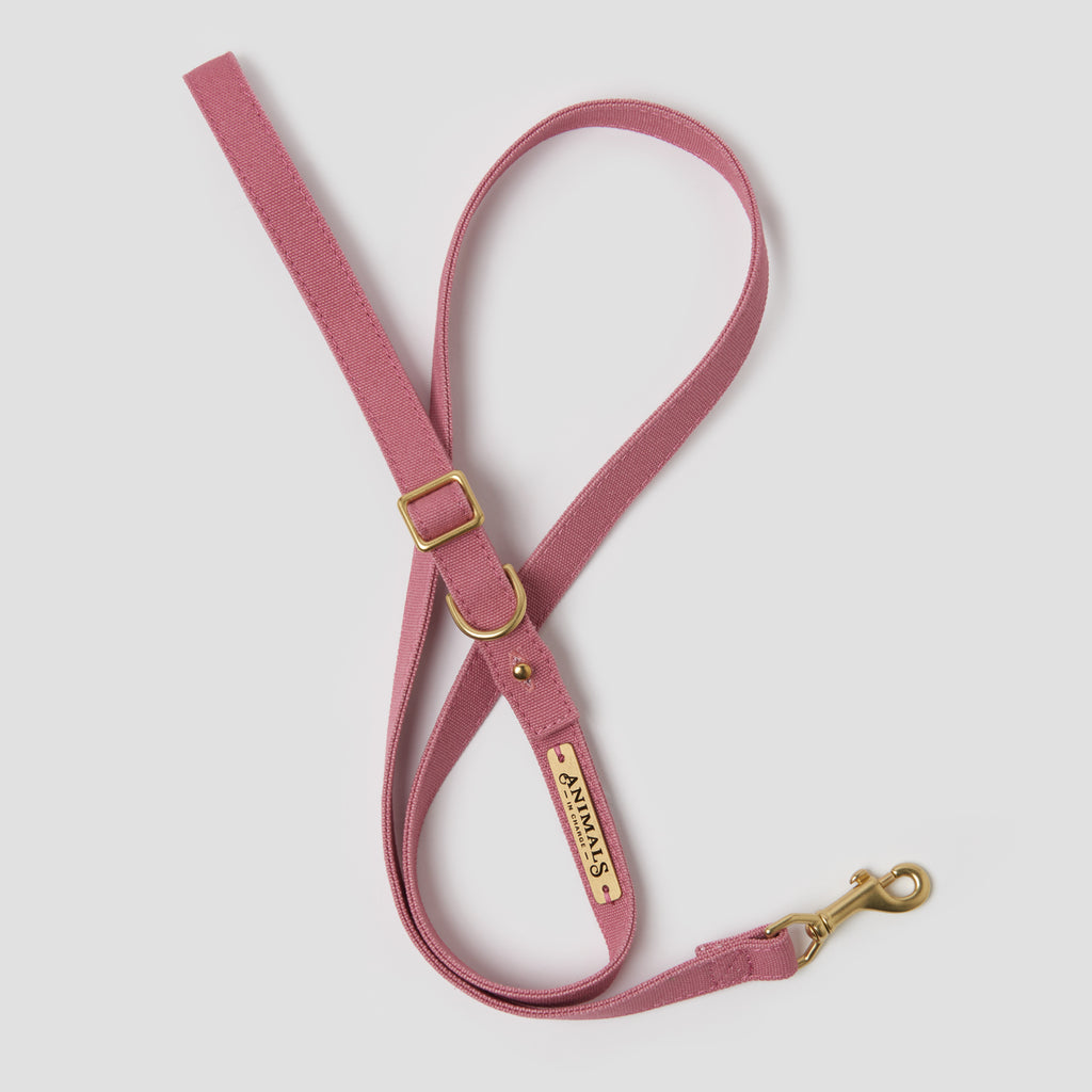 Dusty Pink Organic Canvas Dog Leash