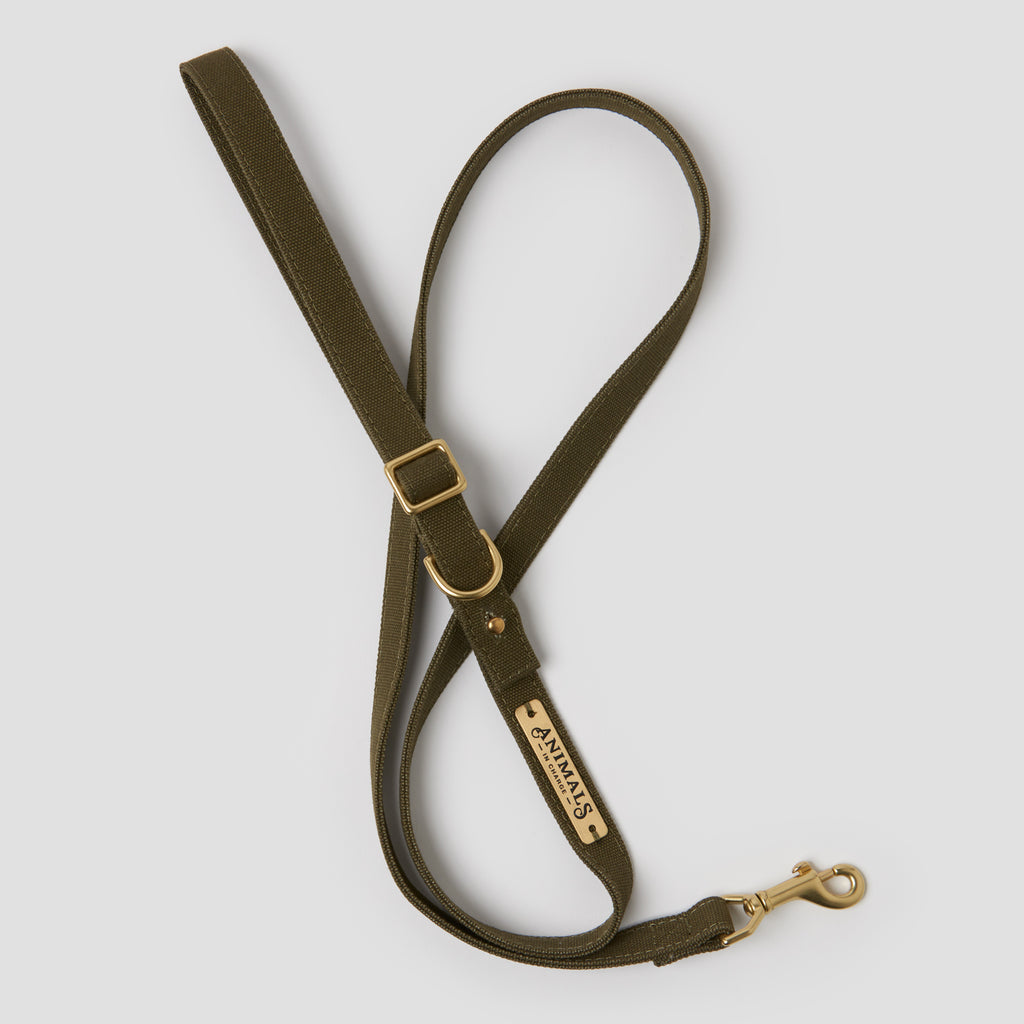 Olive Organic Canvas Dog Leash