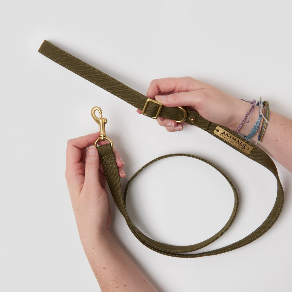 Olive Organic Canvas Dog Leash