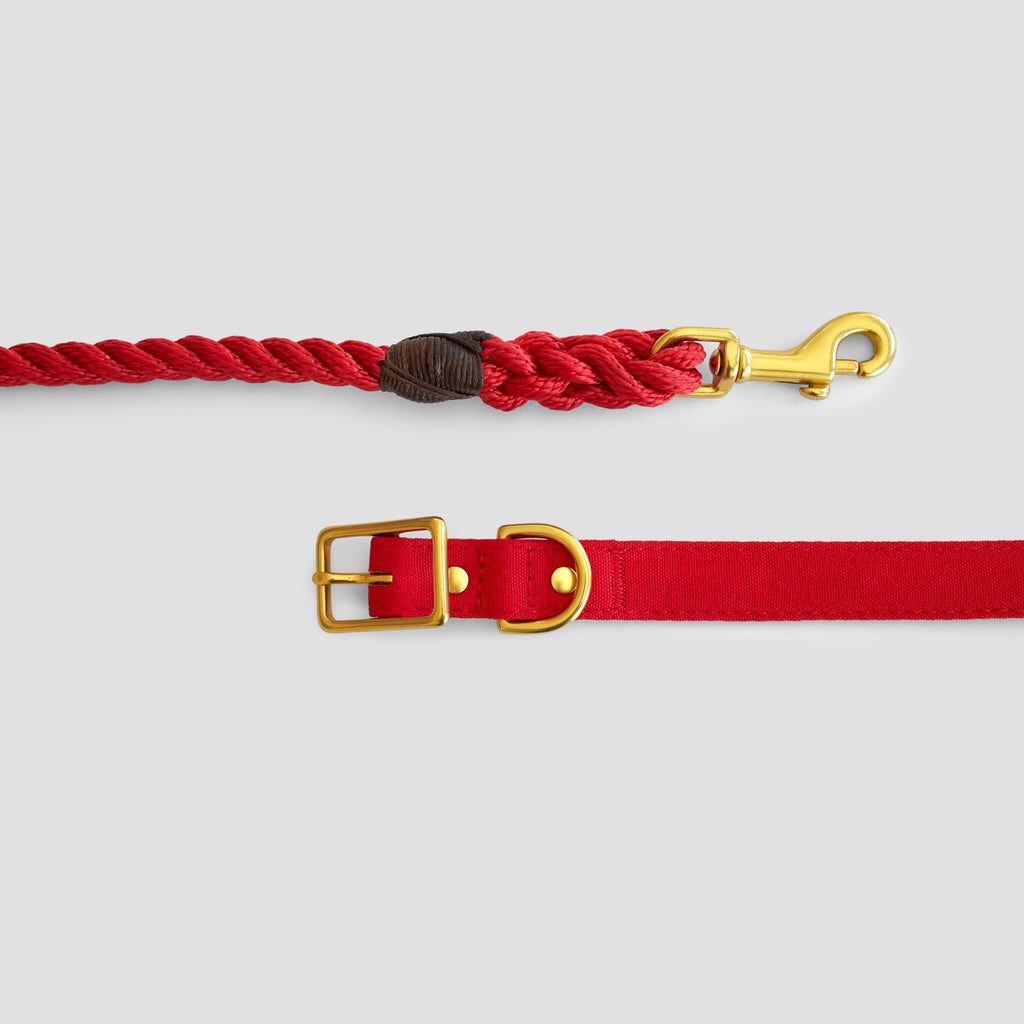 Red Recycled Canvas Dog Collar