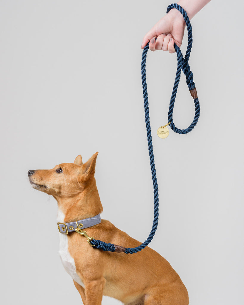 Royal Navy Rope Dog Leash