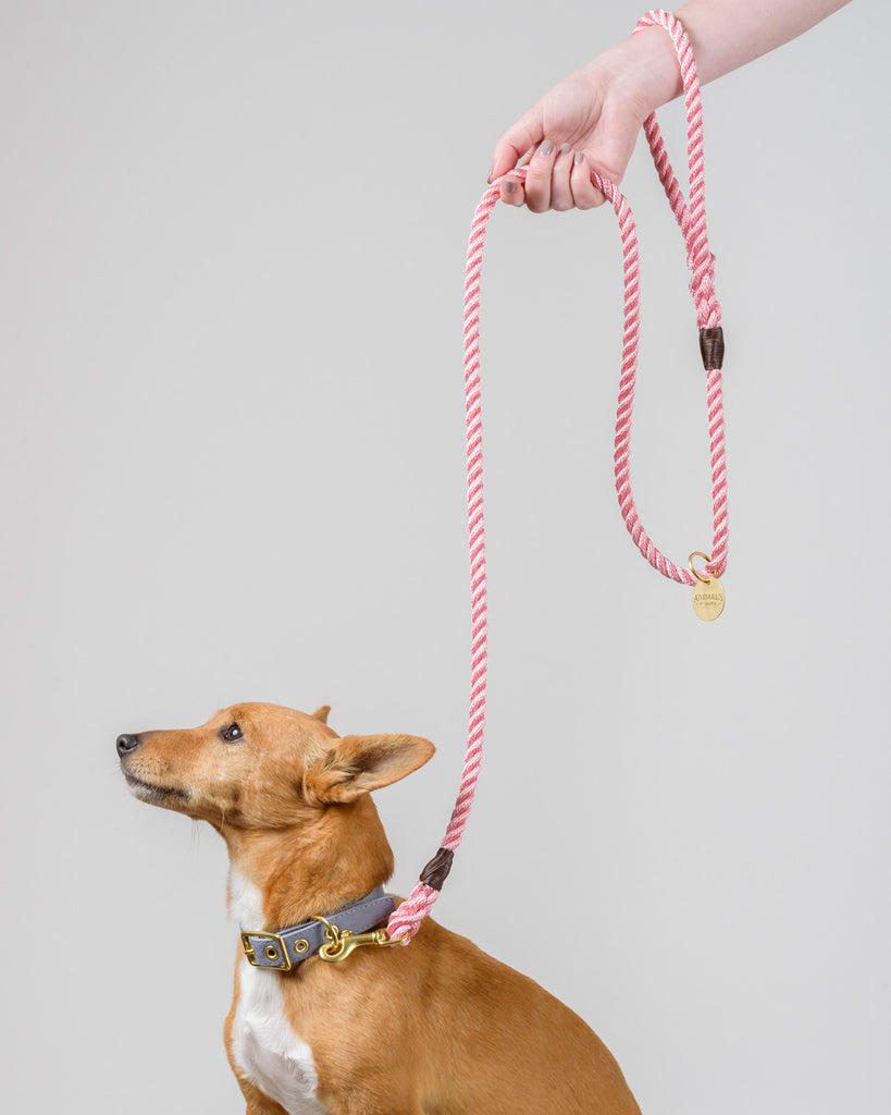 Rose Pink Rope Dog Leash - All Weather