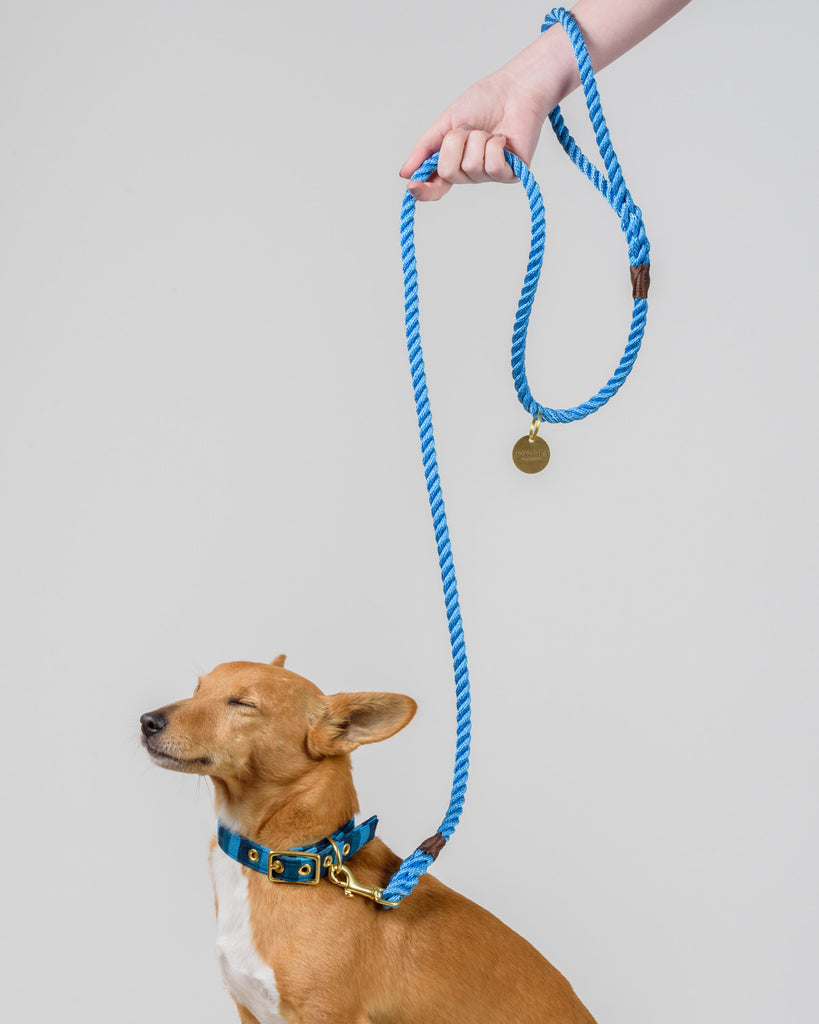 Sky Blue Rope Dog Leash