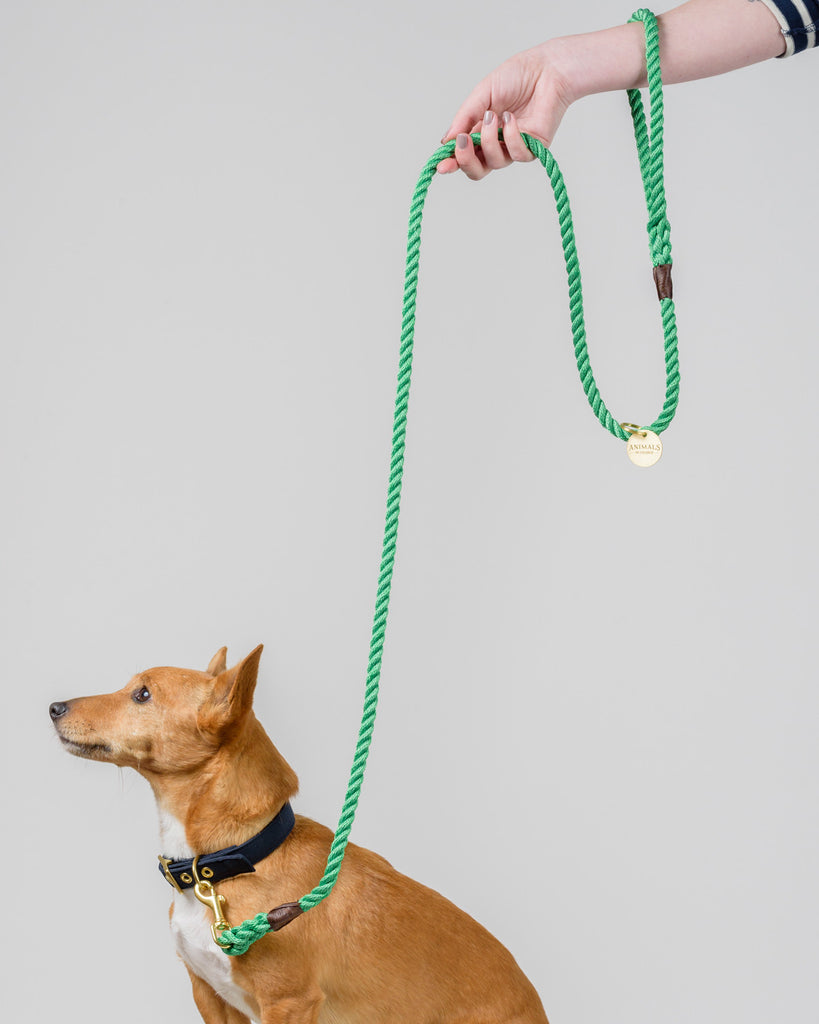 Leafy Green Rope Dog Leash