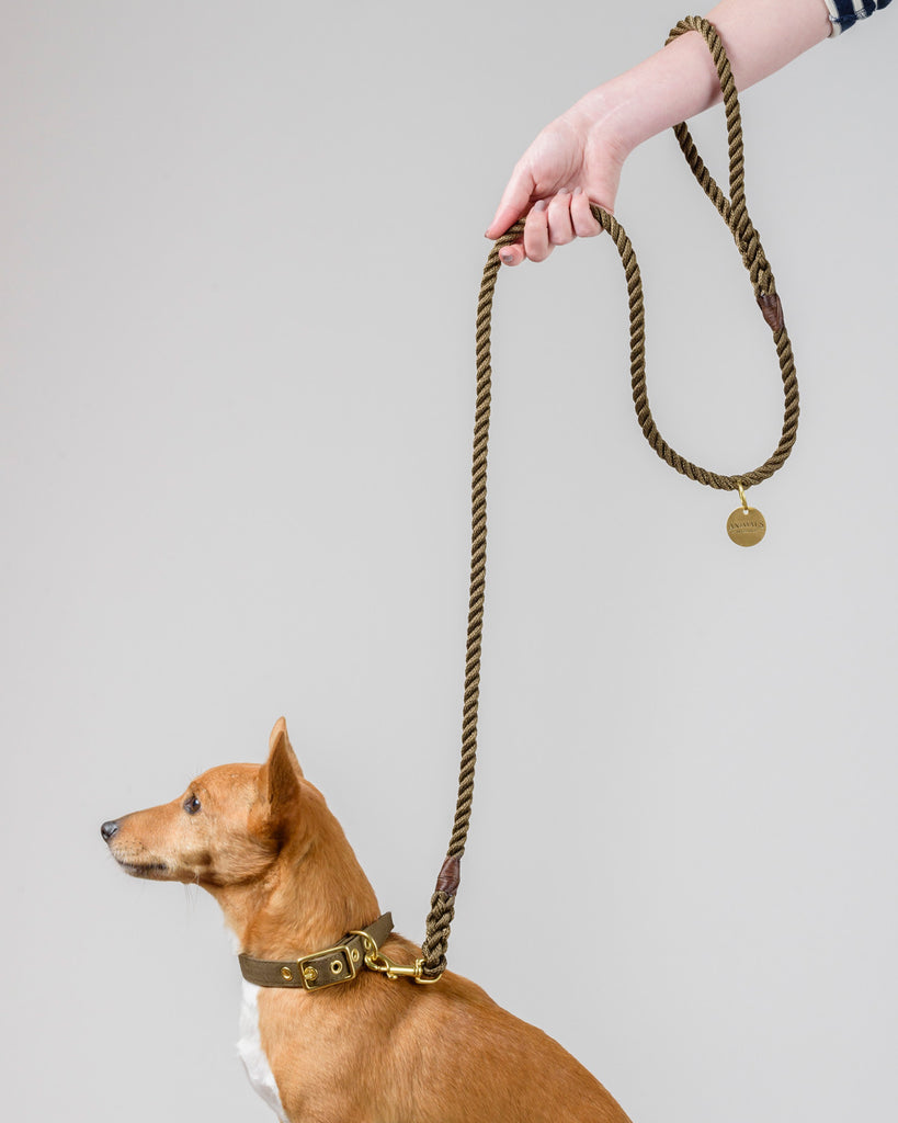 Olive Recycled Rope Dog Leash