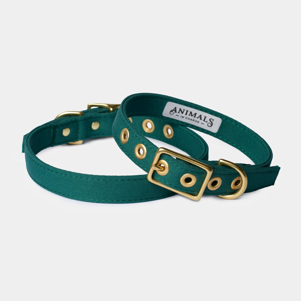 Forest Green Recycled Canvas Dog Collar