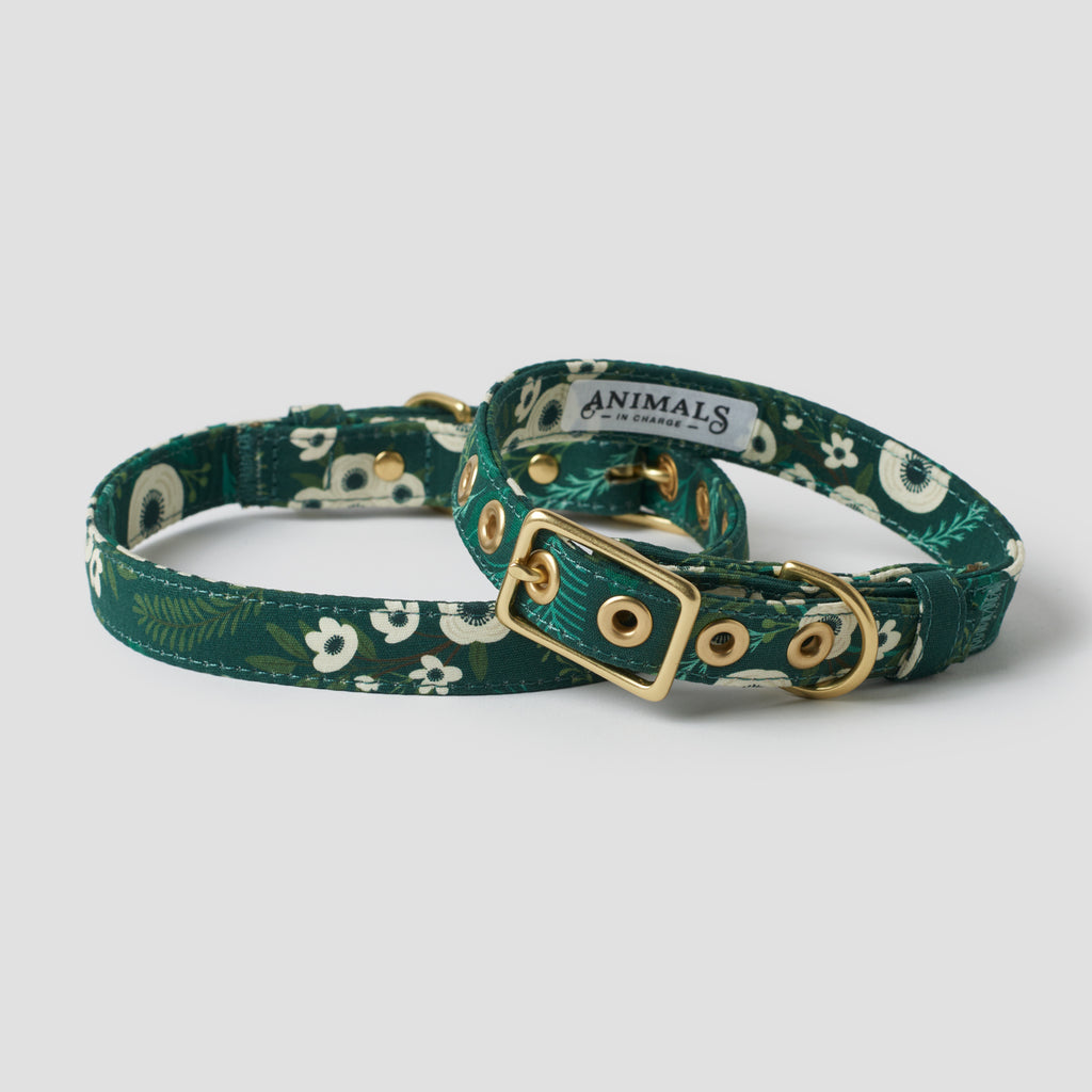 Winter Garden Designer Dog Collar