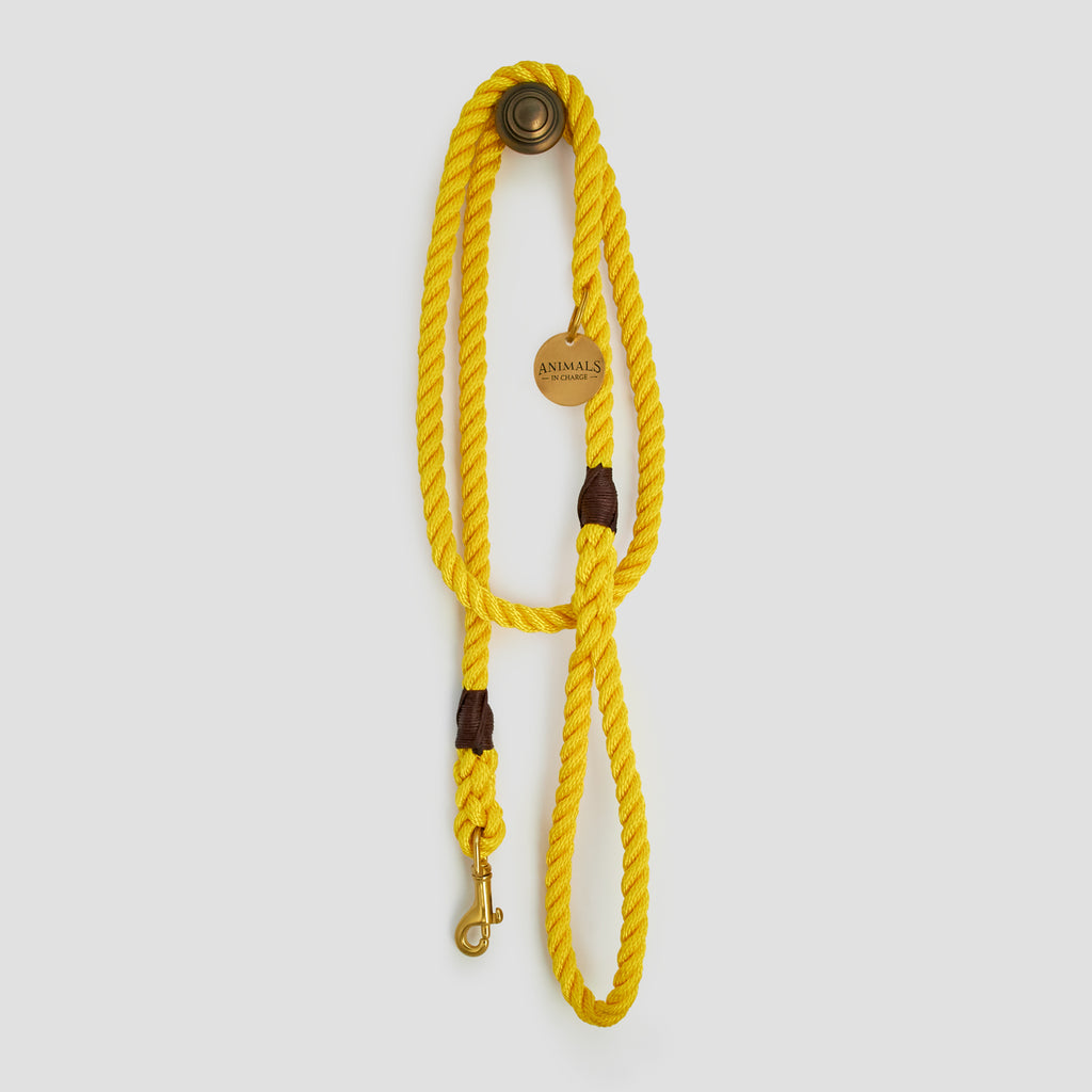 Butter Yellow Rope Dog Leash
