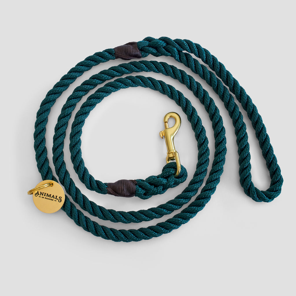 Forest Green Rope Dog Leash