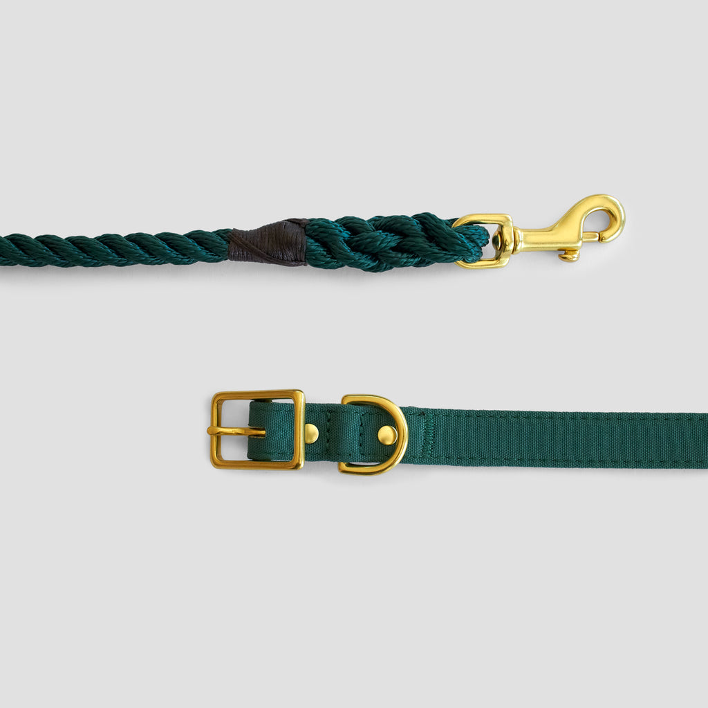 Forest Green Rope Dog Leash