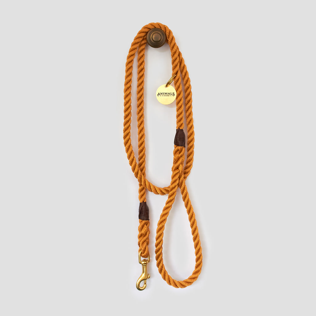 Harvest Yellow Rope Dog Leash