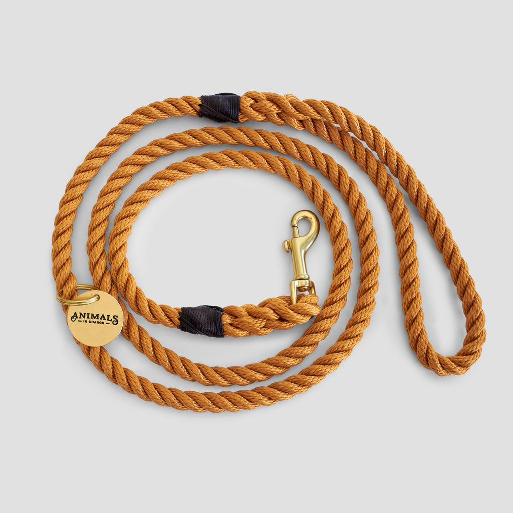 Harvest Yellow Rope Dog Leash