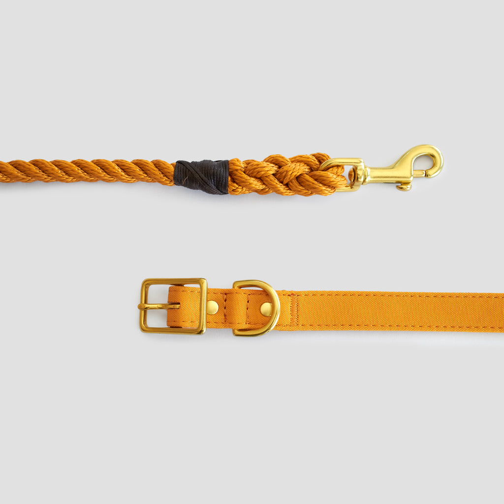 Harvest Yellow Rope Dog Leash