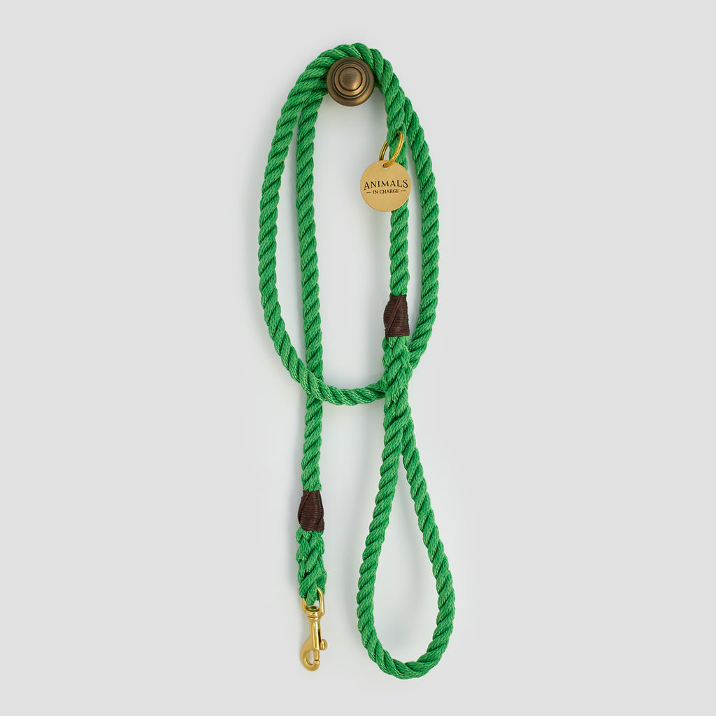 Leafy Green Rope Dog Leash