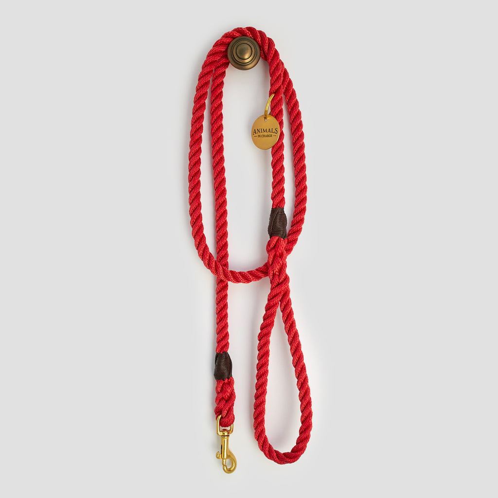 Red Rope Dog Leash