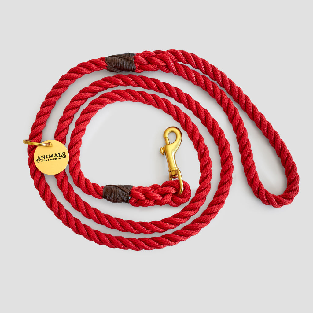 Red Rope Dog Leash
