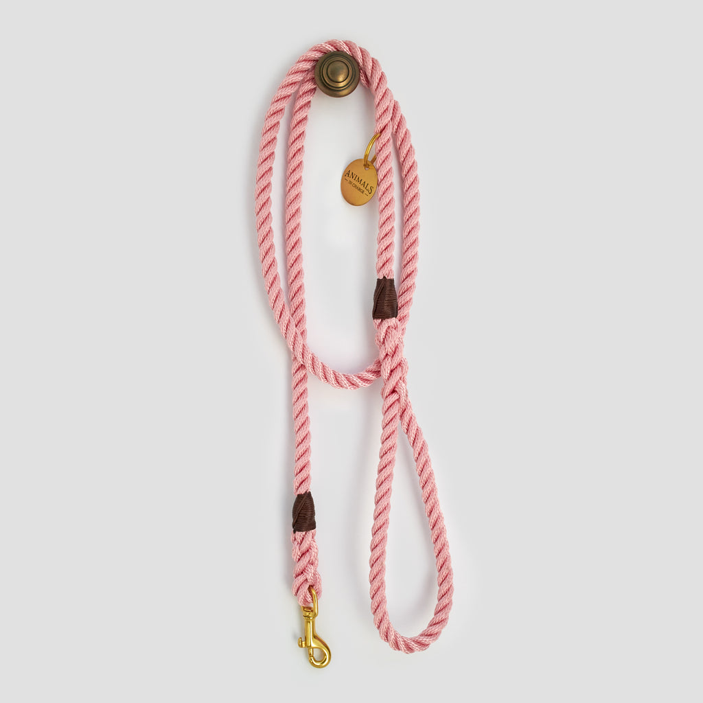 Rose Pink Rope Dog Leash