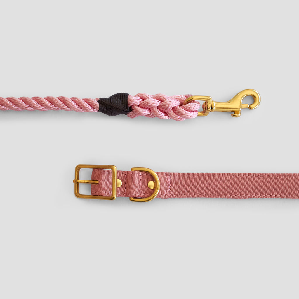 Rose Pink Rope Dog Leash