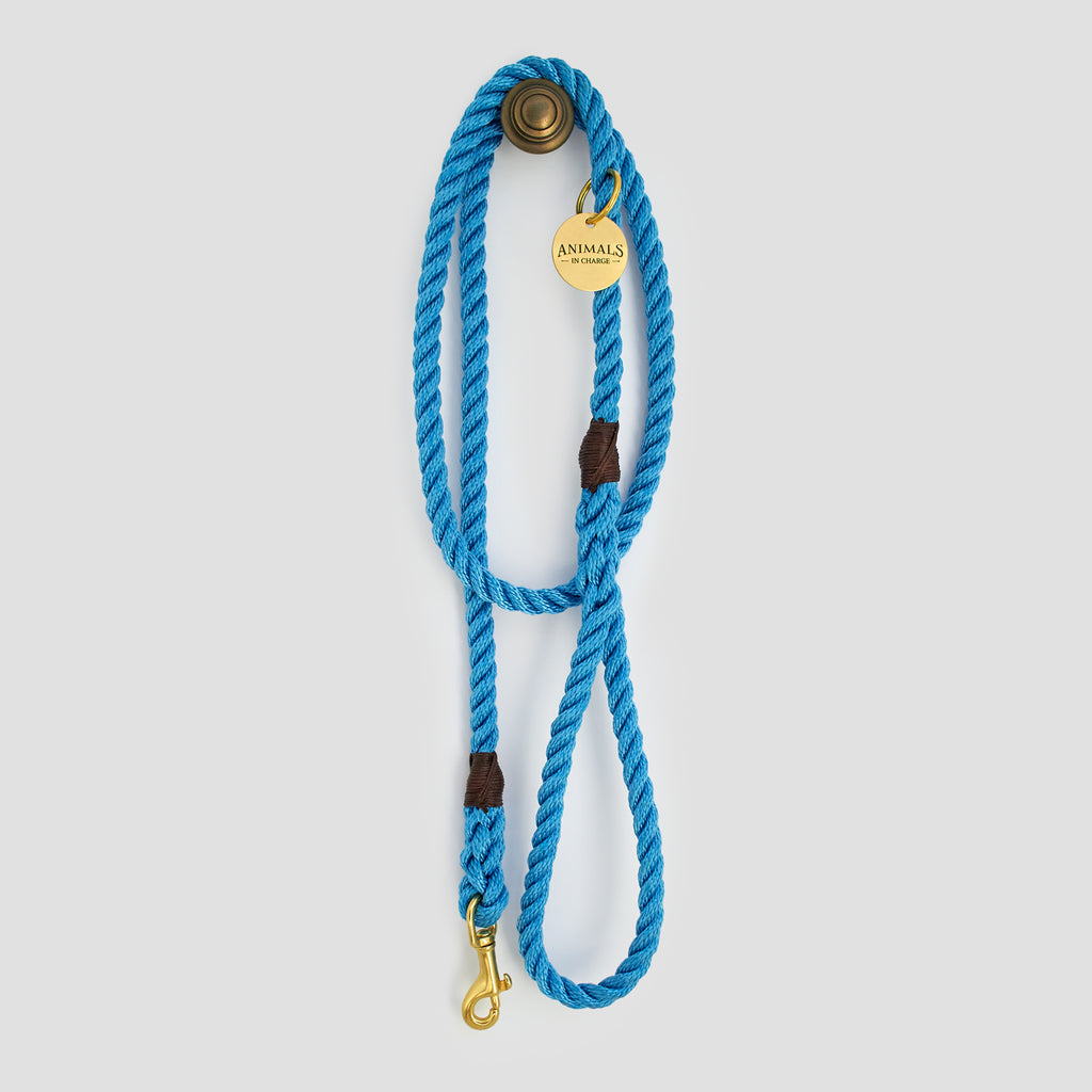 Sky Blue Rope Dog Leash