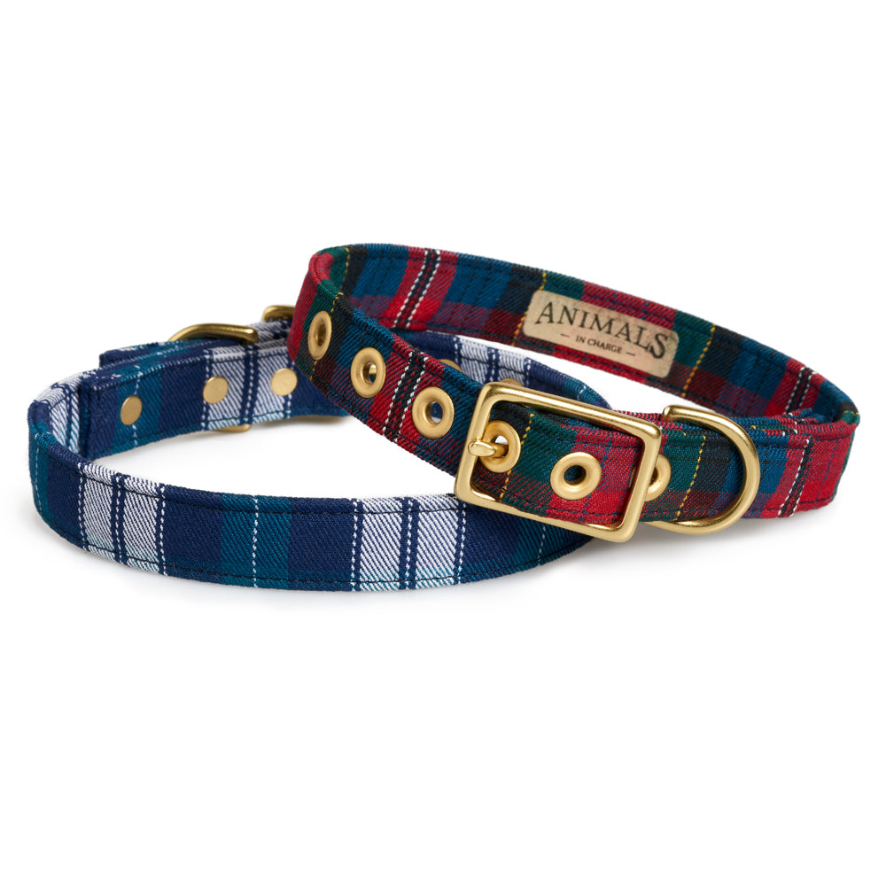 Red Tartan + Brass Cafe Collar