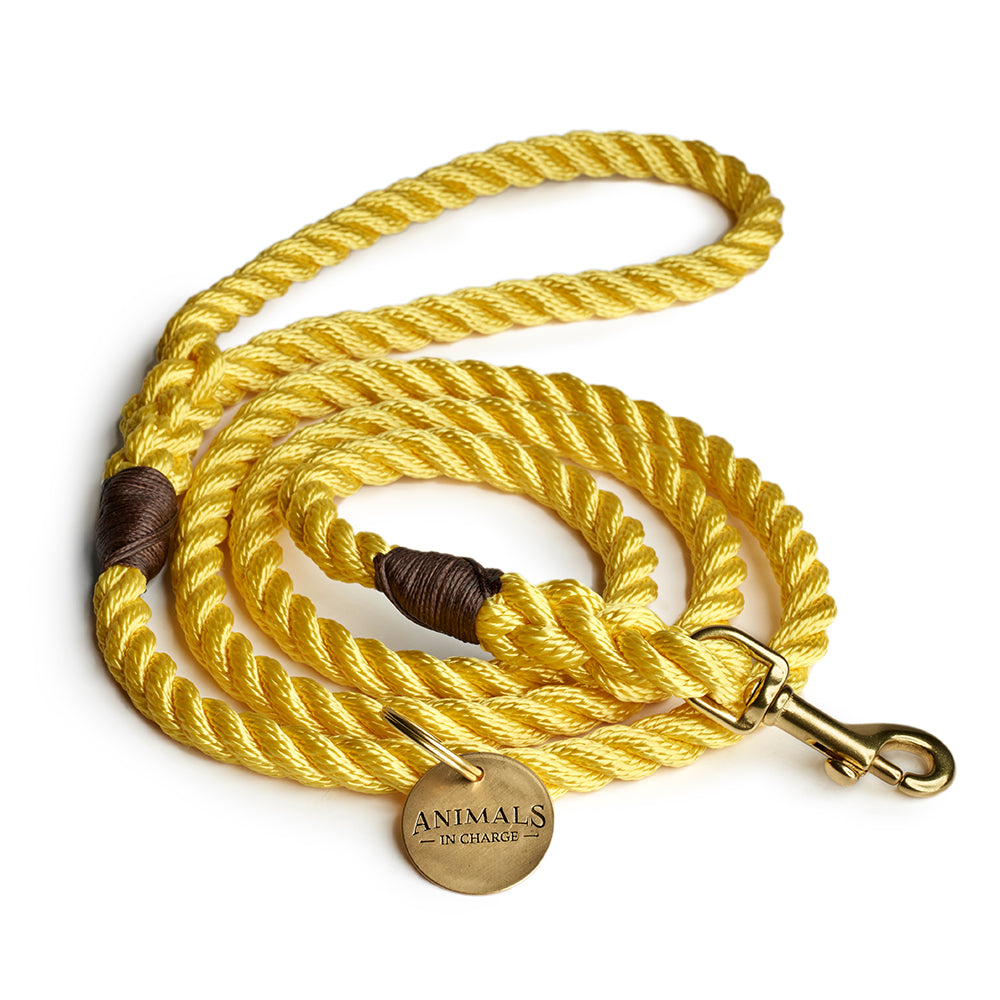 Butter Yellow Rope Dog Leash