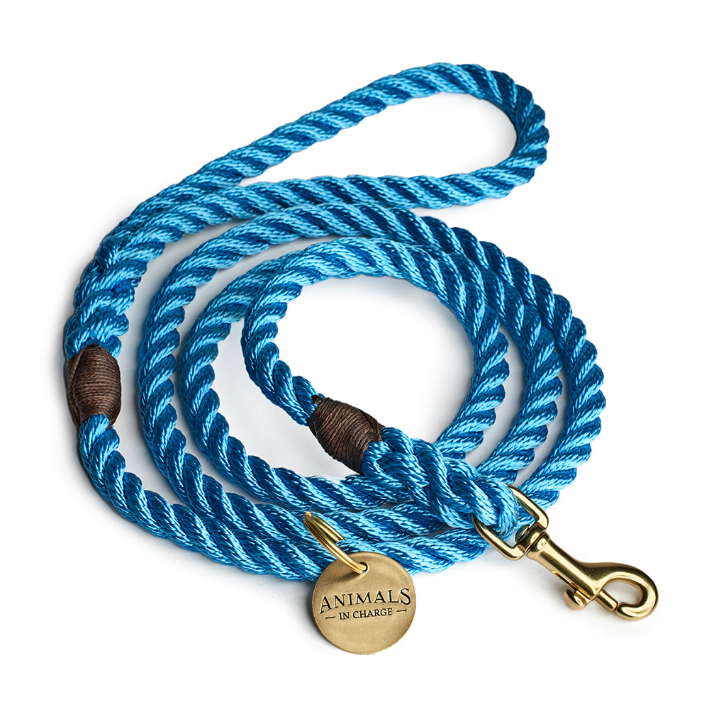 Sky Blue Rope Dog Leash