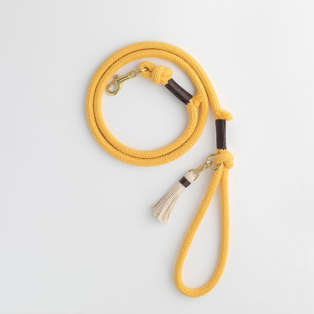 Sunflower Yellow Organic Rope Dog Leash