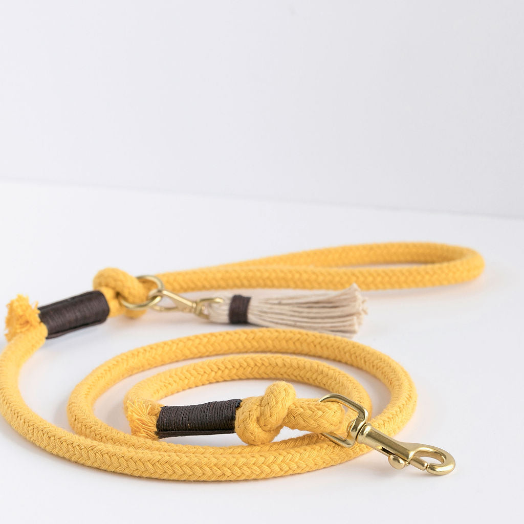 Sunflower Yellow Organic Rope Dog Leash