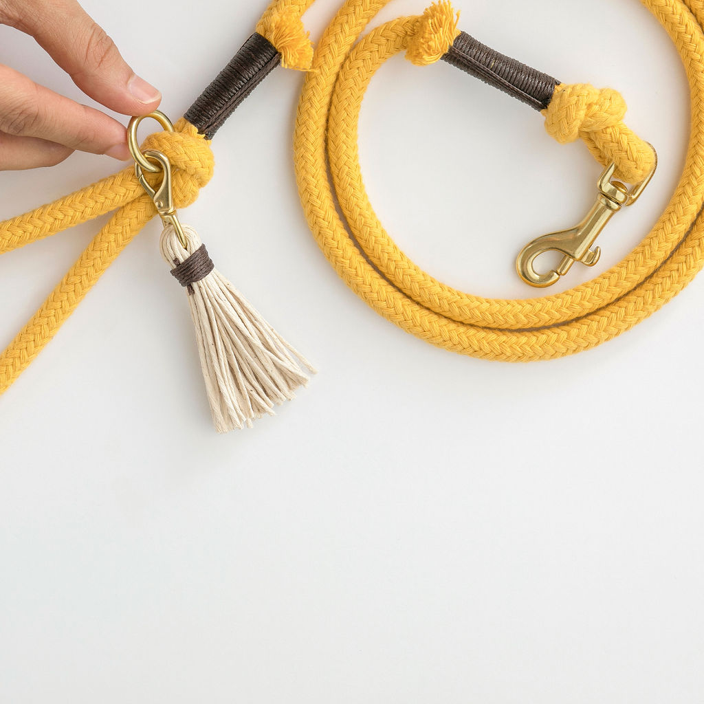 Sunflower Yellow Organic Rope Dog Leash